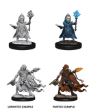 Wizkids: Pathfinder: Deep Cuts: Evil Wizards