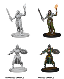 Wizkids: Pathfinder: Deep Cuts: Elf Female Fighter