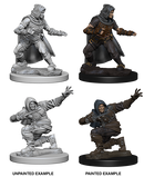 Wizkids: Pathfinder Deep Cuts: Human Male Rogue