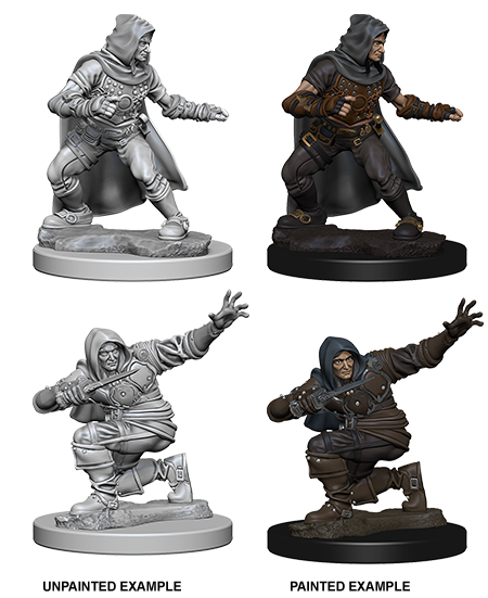 Wizkids: Pathfinder Deep Cuts: Human Male Rogue