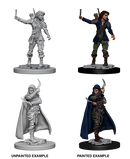 Wizkids: Pathfinder Deep Cuts: Human Female Rogue