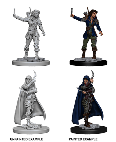 Wizkids: Pathfinder Deep Cuts: Human Female Rogue