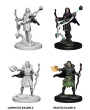 Wizkids: Pathfinder: Deep Cuts: Elf Male Sorcerer