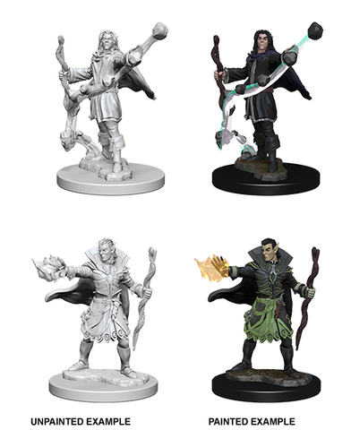 Wizkids: Pathfinder: Deep Cuts: Elf Male Sorcerer
