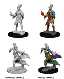 Wizkids: Pathfinder Deep Cuts: Elf Female Sorcerer