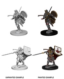 Wizkids: Pathfinder Deep Cuts: Human Female Paladin