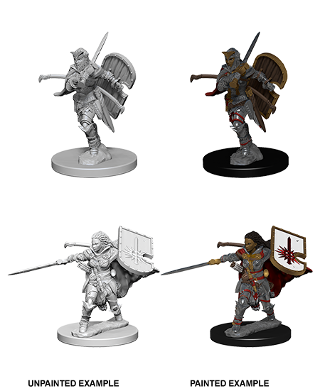 Wizkids: Pathfinder Deep Cuts: Human Female Paladin