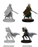 Wizkids: Pathfinder Deep Cuts: Elf Male Paladin