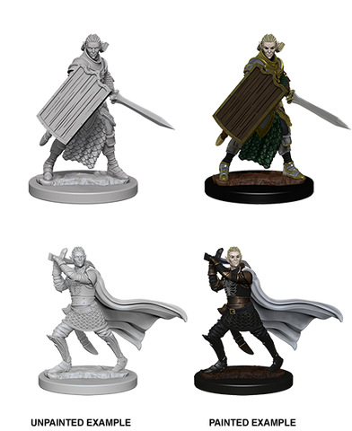 Wizkids: Pathfinder Deep Cuts: Elf Male Paladin