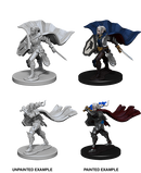 Wizkids: Pathfinder Deep Cuts: Elf Female Paladin