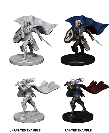 Wizkids: Pathfinder Deep Cuts: Elf Female Paladin