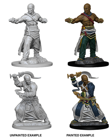 Wizkids: Pathfinder: Deep Cuts: Human Male Monk