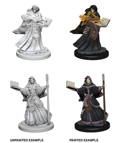 Wizkids: Nolzur's Marvelous Miniatures: Human Wizard