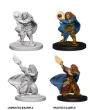 Wizkids Nolzur's Marvelous Miniatures: Dwarf Wizard