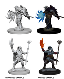Wizkids: Nolzur's Marvelous Miniatures: Elf Wizard
