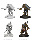 Wizkids Nolzur's Marvelous Miniatures: Human Paladin