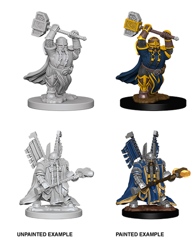 Wizkids: Nolzur's Marvelous Miniatures: Dwarf Paladin