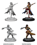 Wizkids: Nolzur's Marvelous Miniatures: Human Monk