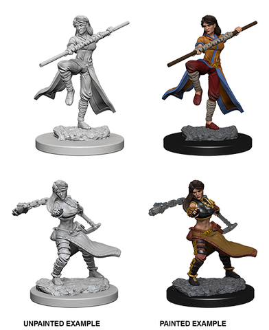 Wizkids: Nolzur's Marvelous Miniatures: Human Monk