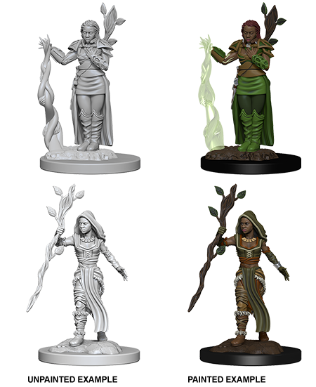 Wizkids Nolzur's Marvelous Miniatures: Human Druid