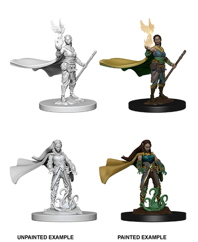 Wizkids: Nolzur's Marvelous Miniatures: Elf Druid