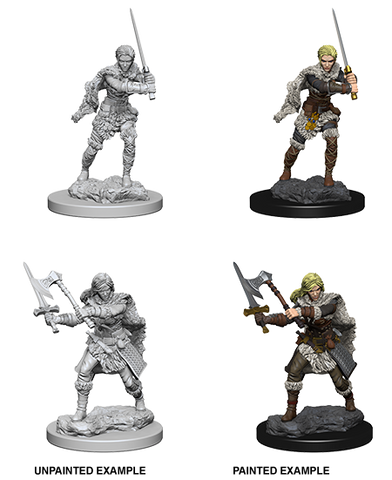 Wizkids: Nolzur's Marvelous Miniatures: Human Barbarian