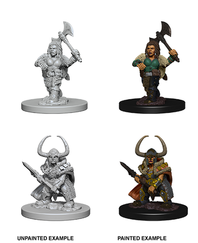 Wizkids Nolzur's Marvelous Miniatures: Dwarf Barbarian