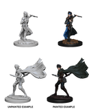 Wizkids: Pathfinder Deep Cuts: Elf Female Rogue