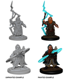 Wizkids: Pathfinder Deep Cuts: Dwarf Male Sorcerer