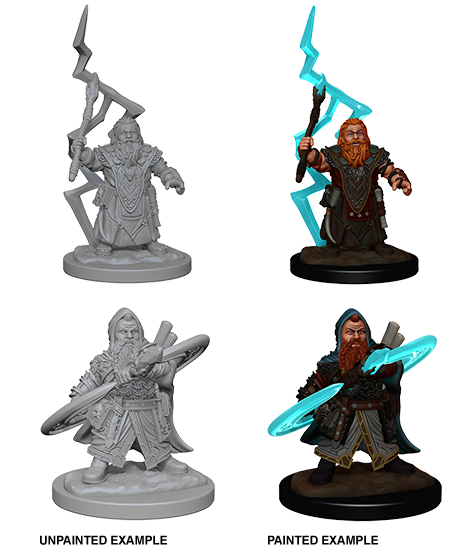Wizkids: Pathfinder Deep Cuts: Dwarf Male Sorcerer