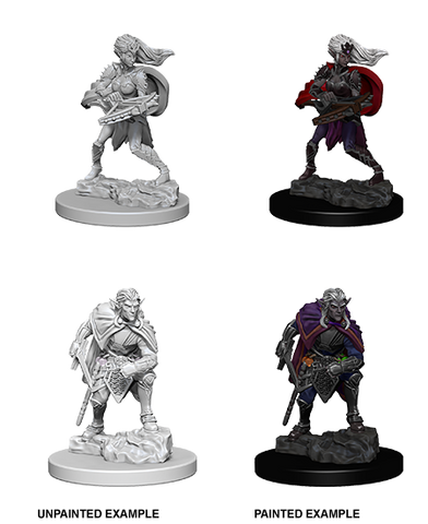 Wizkids: Nolzur's Marvelous Miniatures: Drow