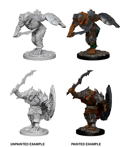 Wizkids: Nolzur's Marvelous Miniatures: Dragonborn Fighter
