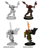 Wizkids: Nolzur's Marvelous Miniatures: Dragonborn Fighter