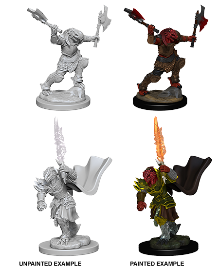 Wizkids: Nolzur's Marvelous Miniatures: Dragonborn Fighter