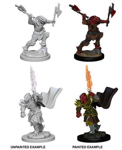 Wizkids: Nolzur's Marvelous Miniatures: Dragonborn Fighter