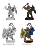 Wizkids Nolzur's Marvelous Miniatures: Dragonborn Paladin