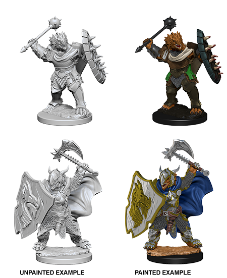 Wizkids Nolzur's Marvelous Miniatures: Dragonborn Paladin