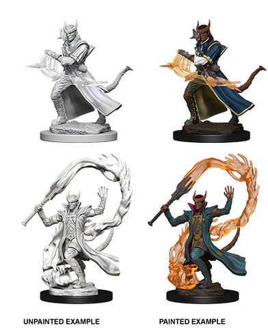 Wizkids: Nolzur's Marvelous Miniatures: Tiefling Sorcerer