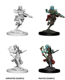 Wizkids: Nolzur's Marvelous Miniatures: Air Genasi Rogue