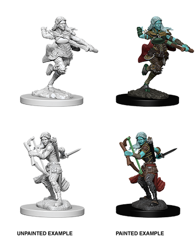 Wizkids: Nolzur's Marvelous Miniatures: Air Genasi Rogue