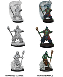 Wizkids Nolzur's Marvelous Miniatures: Water Genasi Druid