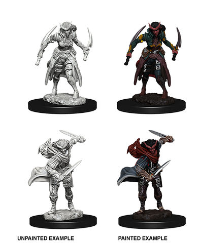Wizkids: Nolzur's Marvelous Miniatures: Tiefling Rogue