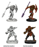Wizkids: Nolzur's Marvelous Miniatures: Dragonborn Fighter with Spear