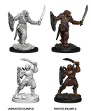 Wizkids: Nolzur's Marvelous Miniatures: Dragonborn Paladin