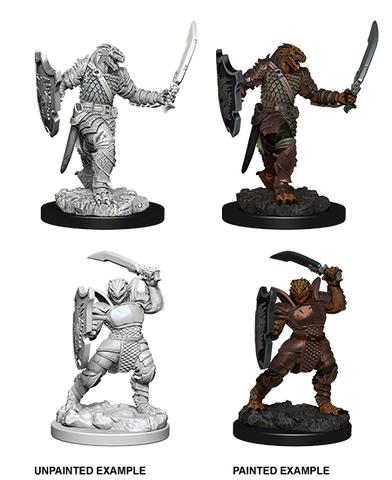 Wizkids: Nolzur's Marvelous Miniatures: Dragonborn Paladin