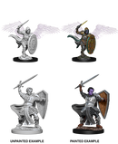 Wizkids: Nolzur's Marvelous Miniatures: Aasimar Paladin
