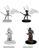 Wizkids: Nolzur's Marvelous Miniatures: Aasimar Paladin