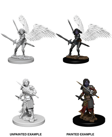 Wizkids: Nolzur's Marvelous Miniatures: Aasimar Paladin