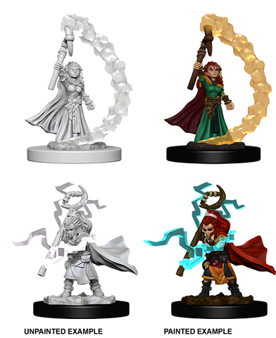 Wizkids: Pathfinder Deep Cuts: Gnome Female Sorcerer