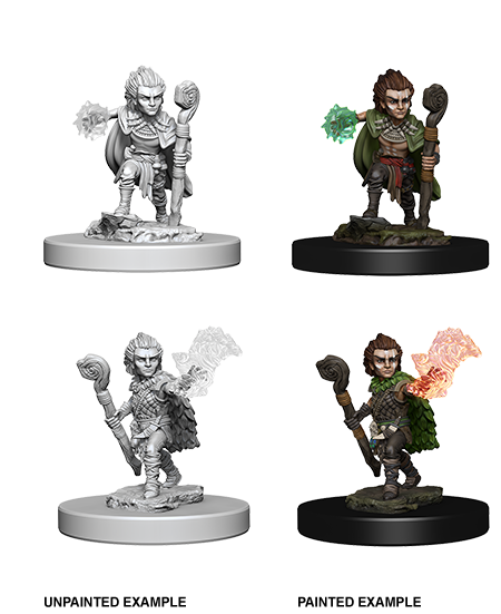 Wizkids: Pathfinder: Deep Cuts: Gnome Male Druid